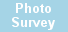 Photo Survey